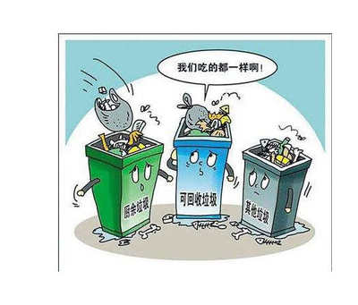 構(gòu)建高效城市生活垃圾分類管理體系 策略與實(shí)踐